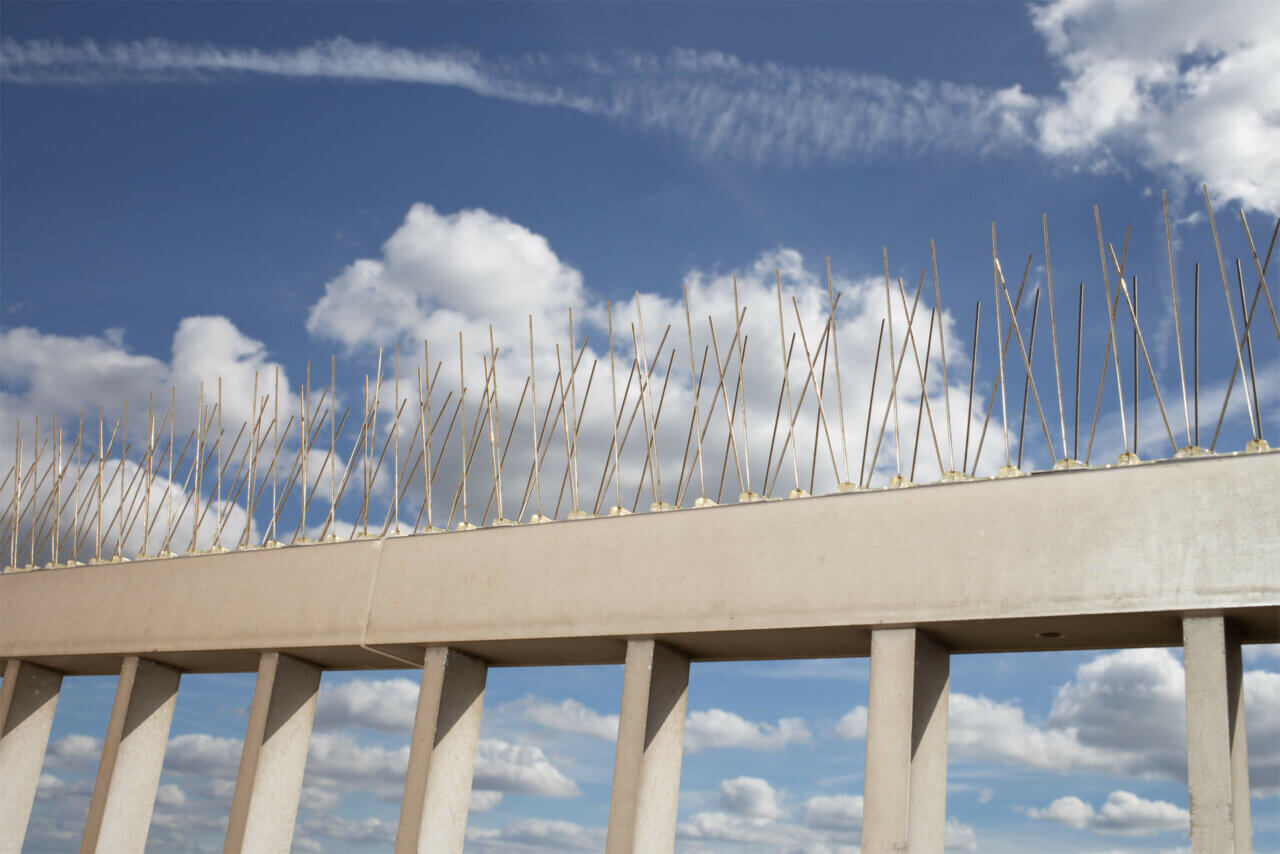 Bird deterrent spikes installed on a beam.